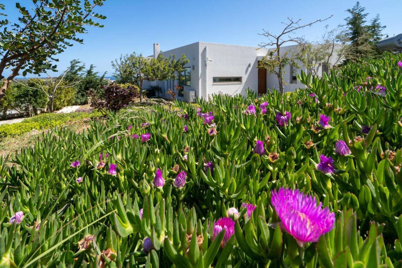 אגיה פלגיה קיתירה Sea View Villas מראה חיצוני תמונה